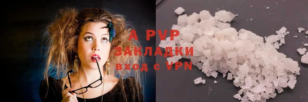 МДПВ Нея
