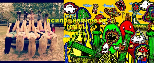 а пвп мука Наволоки