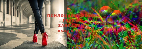 МДПВ Нея
