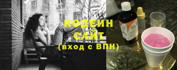 МДПВ Нея
